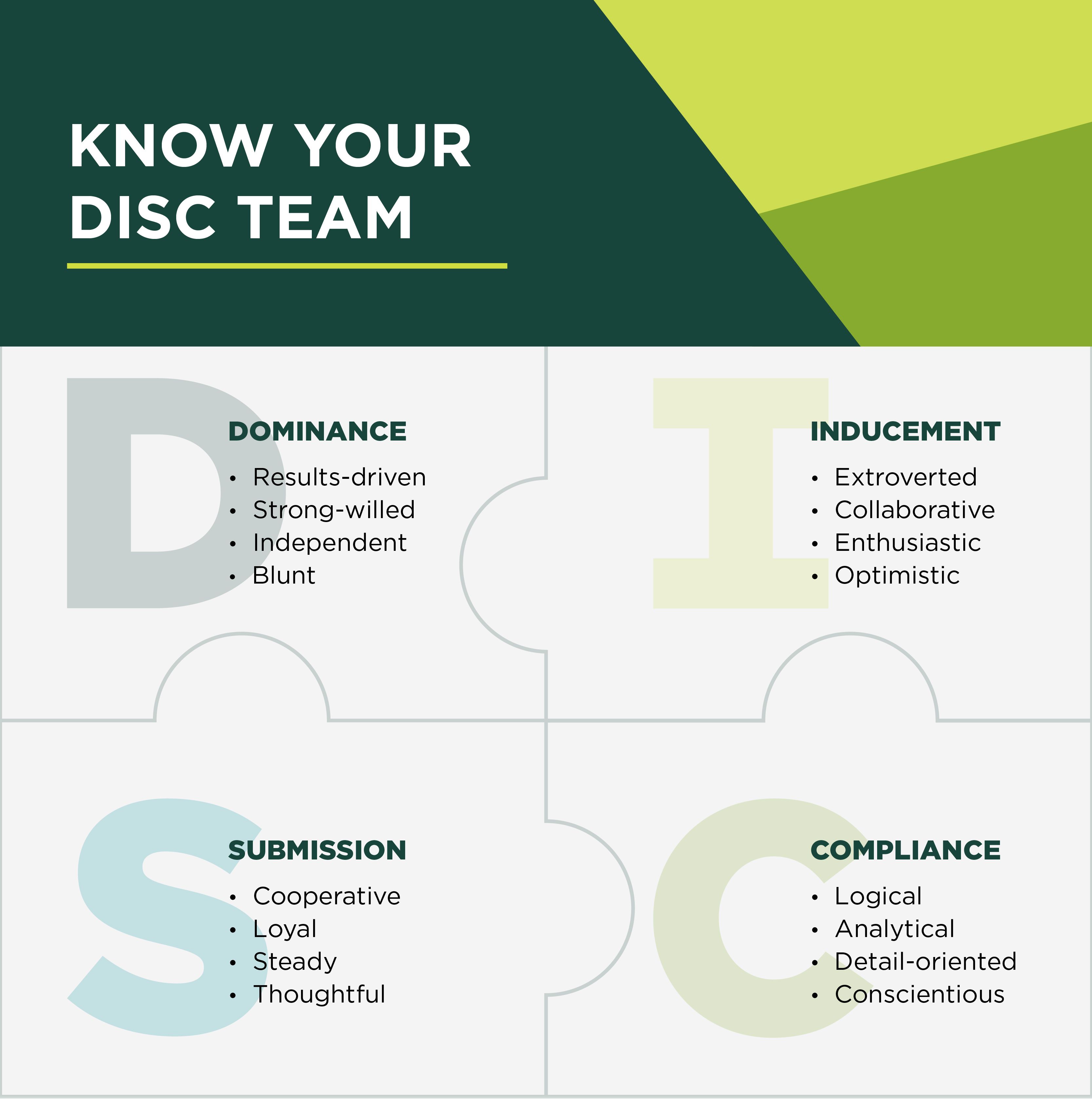 Observe Learn And Lead Your Team By Following Disc Building Teams