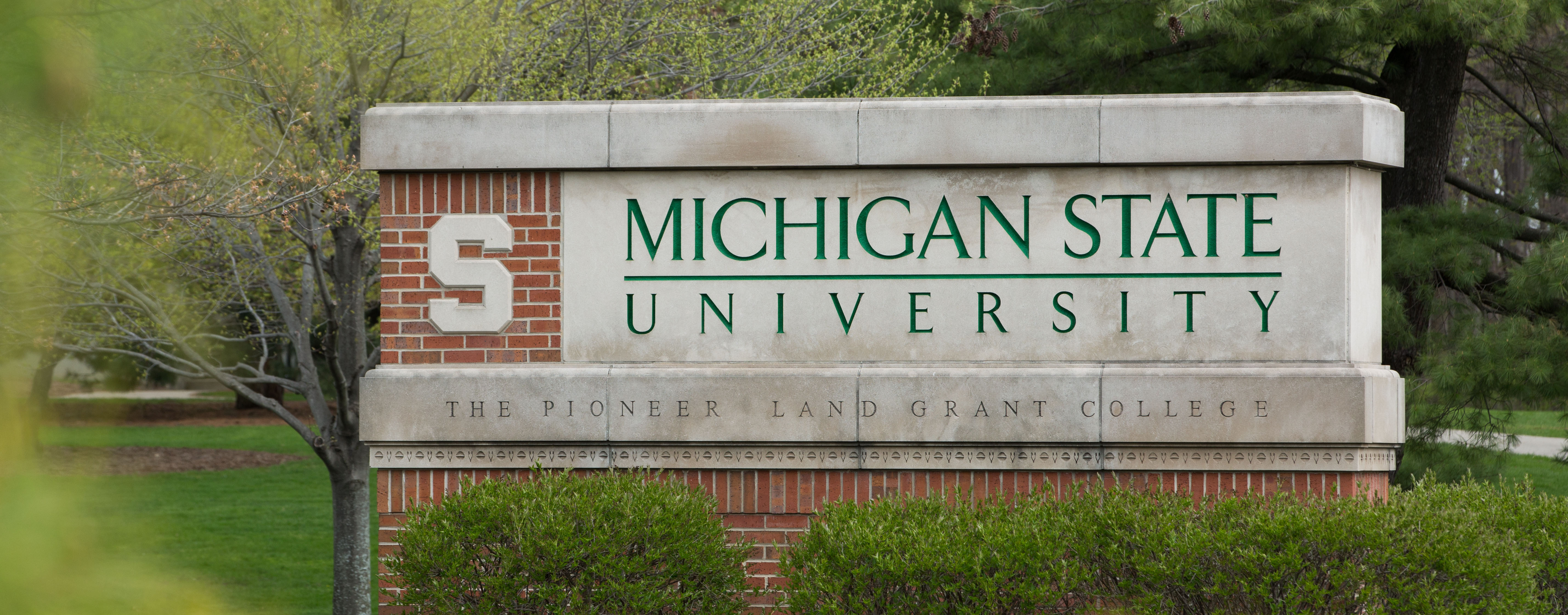 Faculty - MSU Online Programs